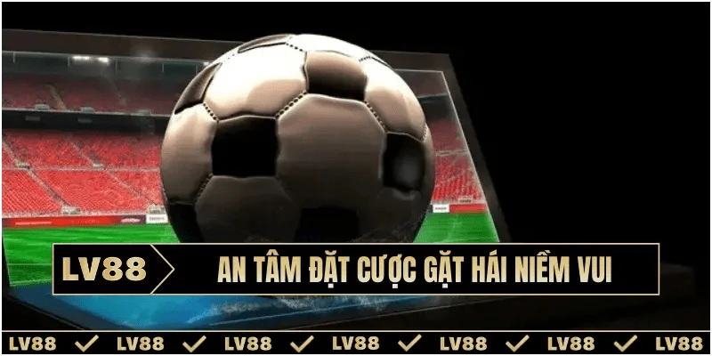 Xây dựng tâm lý ổn định khi theo dõi bóng đá trực tuyến