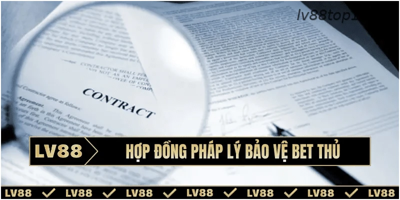 Hợp đồng pháp lý bảo vệ bet thủ