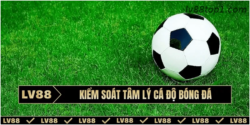 Nhận biết những trạng thái tâm lý thường gặp khi xem bóng đá